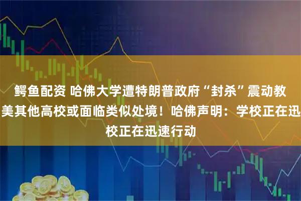 鳄鱼配资 哈佛大学遭特朗普政府“封杀”震动教育界!美其他高校或面临类似处境!哈佛声明:学校正在迅速行动