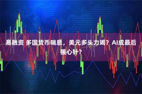 易融资 多国货币喘息，美元多头力竭？AI成最后强心针？