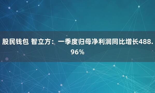 股民钱包 智立方：一季度归母净利润同比增长488.96%